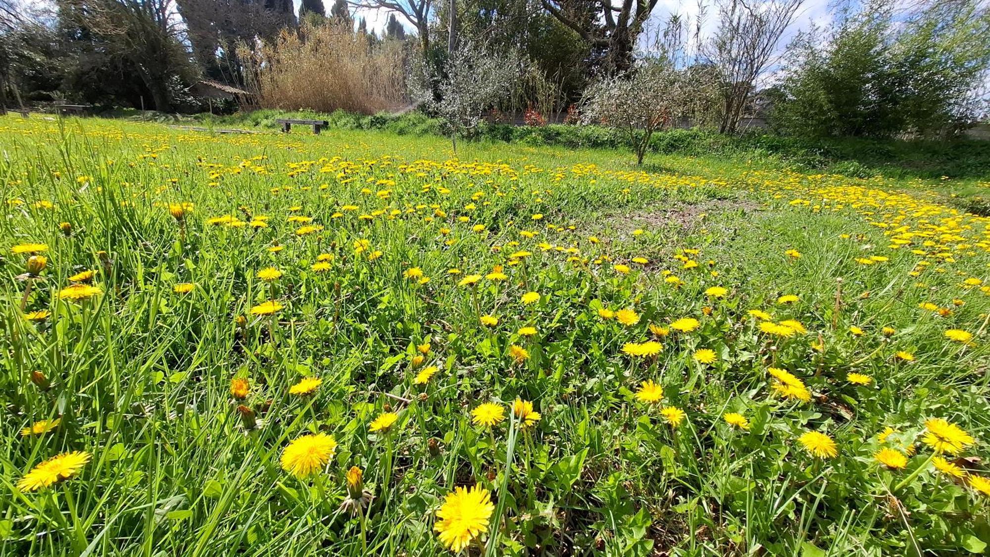 Appartamento Ginette Et Marcel Saint-Rémy-de-Provence Esterno foto